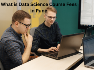 Read more about the article What is Data Science Course Fees in Pune?